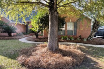 Landscaping | Shrub Trimming | Pine Straw & Mulch Installation